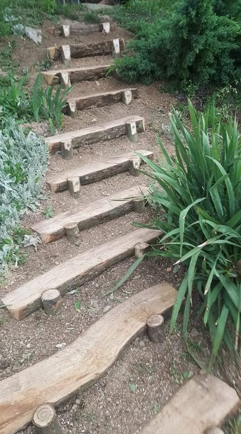 Sloped Backyard, Landscaping Simple, Garden Stairs, Sloped Garden, Garden Steps, Garden Backyard, Garden Yard Ideas, Diy Backyard, Backyard Landscaping Designs