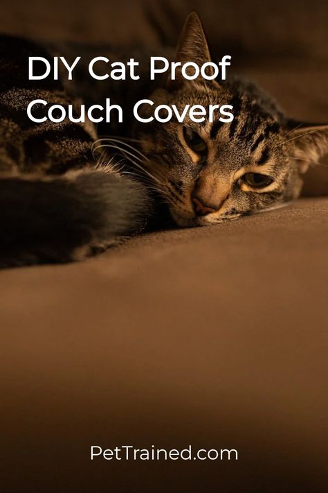 Get creative with DIY couch covers! ✂️ Learn how to make your own custom couch cover to protect against cat scratches. From repurposing old fabrics to using waterproof materials, save money and personalize your furniture. 🛋️ Unleash your creativity and protect your couch! Visit our blog for expert advice. 🏡 Diy Couch Covers, Protect Furniture From Cats, Best Couch Fabric For Cats, Protect Couch From Cat, Repairing Cat Scratched Couch, Cat Proof Furniture, Cat Proof Couch, Diy Couch Protector Cat, Diy Couch Cover