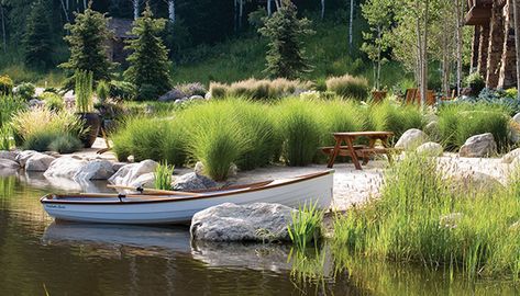 Backyard Fountain, Swimming Ponds, Farm Pond, Building A Pond, Natural Swimming Ponds, Fountains Backyard, Pond Water Features, Swimming Pond, Pond Landscaping