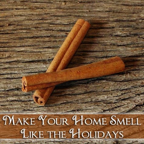 How to Make Your Home Smell Like the Holidays | Mrs Kringle's Kitchen Cinnamon Sticks Uses House Smells, House Smell Good, Home Smell, Holiday Scents, House Smell, Project Manager, Creative Blog, House Smells, Smells Amazing