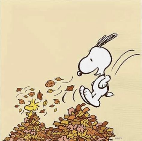 Good Morning Autumn, Snoopy Good Morning, Snoopy Autumn, Fall Snoopy, Iphone Wallpaper Modern, Morning Autumn, Halloween Watch, Peanuts Halloween, Thanksgiving Harvest