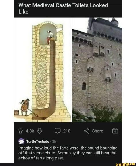 Chateau Medieval, History Nerd, Morning Humor, Interesting History, Medieval Castle, The More You Know, History Facts, Toilets, Satire