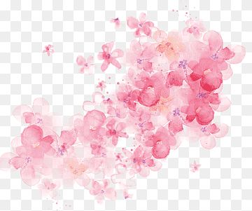 Painting Watercolor Flowers, Cherry Blossom Watercolor, Pink Flowers Background, Cherry Blossoms Illustration, Rose Flower Arrangements, Bunny Watercolor, Pink Abstract Painting, Iris Painting, Leaf Illustration