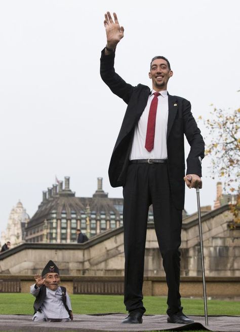 World’s Tallest Man Meets World’s Shortest ManTurkey's Sultan Kosen is 8-foot-3, and Nepal's Chandra Bahadur Dangi is 1-foot-9.5. Kosen is a 31-year-old farmer, and Dangi is a 74-year-old who makes "placemats and head straps for villagers carrying heavy loads," AFP writes.* High Top Haircut, Tallest Man, Giant People, Short Person, Haircut Pictures, Tall People, Ghost Pictures, Guinness World Records, Fast Internet