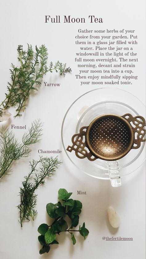 Full Moon Food Ideas, New Moon Tea, Full Moon Herbs, Moon Tea, Full Moon Simmer Pot, Full Moon Tea, Herbal Tea Garden, Tea Blends Recipes, Tea Remedies