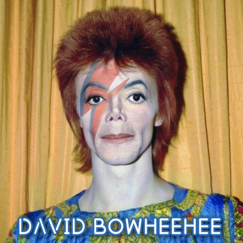 David Bowie Meme, Michael Jackson Meme, Funny Pfp, Hee Man, Michael Jackson Funny, Funny Puns Jokes, Crazy Funny Pictures, Goofy Pictures, Funny Profile