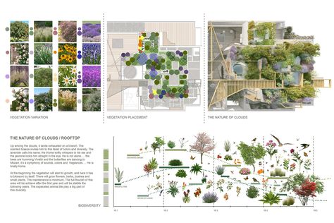 Parisian Penthouse, Paris Penthouse, Roof Garden Plan, Plant Placement, Landscape Diagram, France Landscape, Urban Design Architecture, Plant Study, Architecture Panel