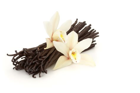 Vanilla #Kiehl's #AromaticBlends Bean Pods, Vanilla Oil, Vanilla Spice, Homestead Gardens, Vanilla Essential Oil, Vanilla Fragrance, Delicious Chocolate, Vanilla Flavoring, Simple Syrup