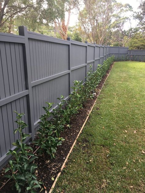 Paint Fence Ideas Backyards, Hamptons Front Garden, Fence Paint Colours, Painted Fence, Brick Fence, Timber Fencing, Driveway Landscaping, Fence Paint, Fence Landscaping