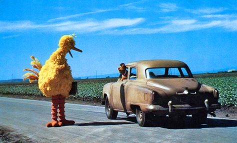 Muppet Movie Muppet Movie, Sesame Street Memes, The Muppet Movie, Fozzie Bear, Fraggle Rock, Dark Jokes, Jim Henson, Fantasy Movies, Big Bird