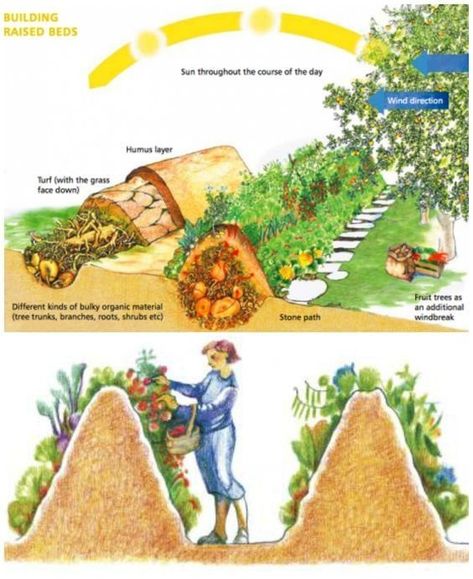 Vegetable Garden Planning, Permaculture Gardening, Veg Garden, Have Inspiration, Home Vegetable Garden, Growing Fruit, Vegetable Garden Design, Food Garden, Garden Bed