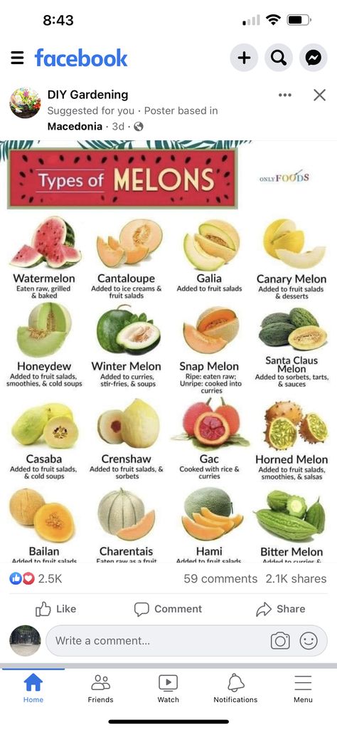 Honeydew Melon Recipes, Types Of Watermelon, Cold Soups, Melon Recipes, Winter Melon, Bitter Melon, Baked Fruit, Cold Soup, Honeydew Melon