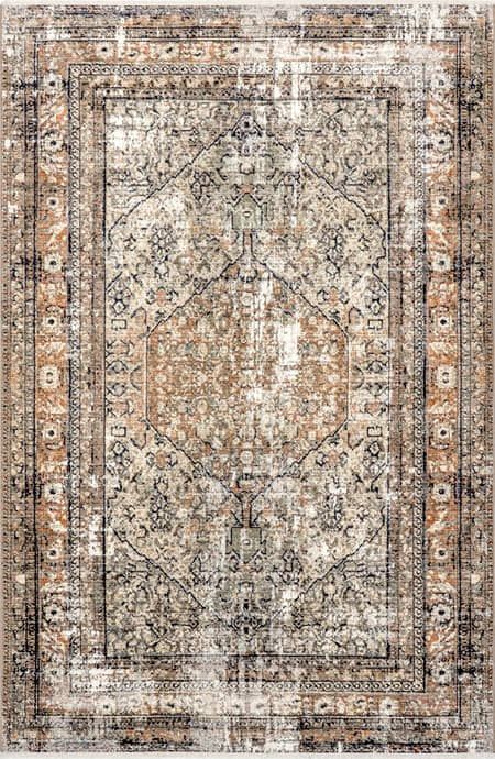 Meadows Vintage Medallion Fringe Beige Rug Farmhouse Rugs Living Room, Distressed Persian Rug, Georgian Country House, Fringe Rug, Paisley Rug, Fringe Rugs, Vintage Medallion, Solid Color Rug, Rugs Living Room