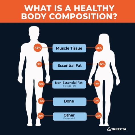 Body Composition Exercises, Body Composition Analysis, Body Fat Percentage, Normal Body, Cleanse Your Body, Nursing Assistant, Bone Density, Muscle Tissue, Lean Body