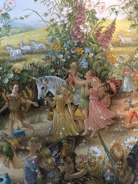 Shirley Barber, Fairy Paintings, Fairy Illustration, Fairies Elves, Vintage Fairies, Fairy Book, Fairy Magic, Flower Fairies, Fairytale Art