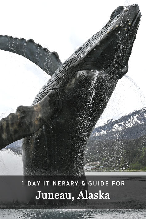 How to spend 1-day in Juneau, Alaska visiting the top attractions. Alaska Adventures, Pedestrian Walkway, Juneau Alaska, Art Deco Architecture, Luxury Resort, Tourist Destinations, Juno, Cruise Ship, Best Hotels