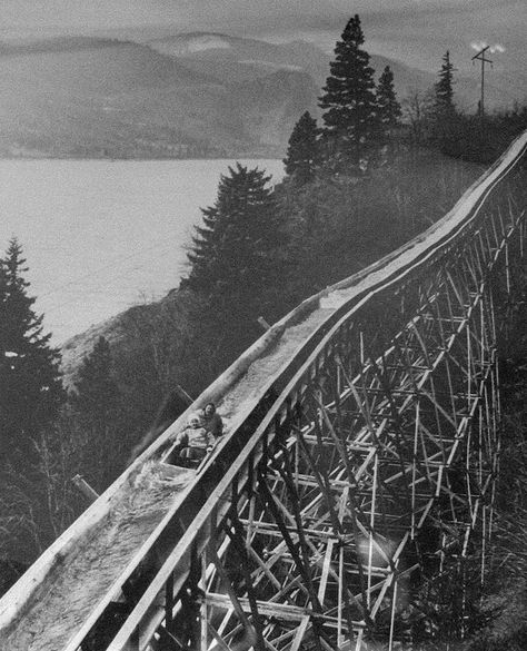 Riding the Broughton lumber flume boat. The Broughton lumber flume dominated the hillside between the towns of Willard and Hood in the State of Washington for over seventy years. Logging Industry, Hood River, Old Trees, Historical Images, Big Tree, Historical Pictures, Vintage Photographs, Abandoned Places, Washington State