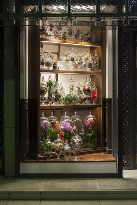 3 Makoto Azuma, Terrarium Shop, Azuma Makoto, Hermes Window, Windows Display, Perfume Display, Store Window Displays, Mini Gardens, Florist Shop