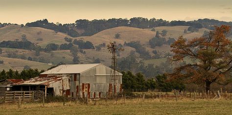 Rural Australia: The Perfect Setting For Mystery | CrimeReads Pesticide Free Gardening, Australia Landscape, Rural Living, Dark Wood Stain, Organic Gardening Tips, Rustic Theme, Victoria Australia, Organic Farming, Farm Life