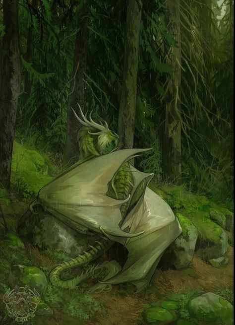 Dragon Rider Aesthetic, Rider Aesthetic, Queen Of Dragons, Green Academia, Paint A Picture, Concept Art World, Into The Forest, Fantasy Beasts, Image Painting