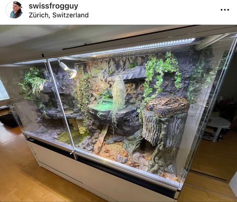 Reticulated Python Enclosure, Boa Constrictor Enclosure, Boa Enclosure, Snake Tanks, Reptile Background, Snake Habitat, Snake Cage, Snake Cages, Diy Snake