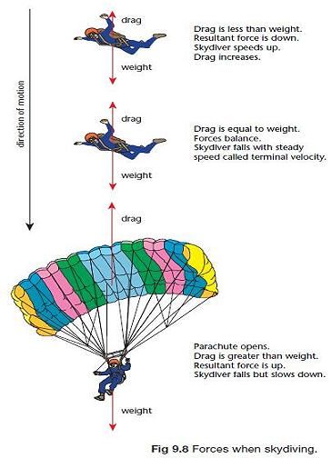 Forces and their effects - GCSE Physics - Revision World Gravitational Force Physics, Igcse Physics Revision, Gcse Physics Revision, Circuits Science, Physics 101, Igcse Physics, Physics Revision, Terminal Velocity, Physics Mechanics