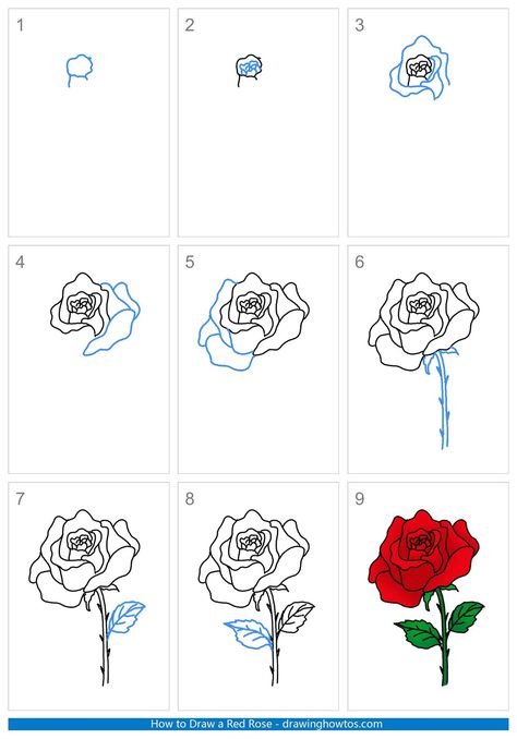 How to Draw a Red Rose - Step by Step Easy Drawing Guides - Drawing Howtos Rosedrawing Roses Easy, Rose Tutorial Drawing, How To Draw Rose, Draw Rose Step By Step, How To Draw A Rose Step By Step, How To Draw A Rose, Rose Drawing Tutorial, Easy Rose Drawing, Red Rose Drawing