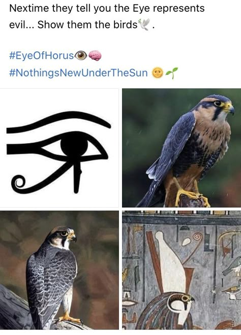 Egyptian Mythology Art, Horus Art, African History Truths, Kemetic Spirituality, Egyptian Deity, Ancient Egyptian Gods, Ancient Egypt Art, Egyptian Symbols, Egypt Art