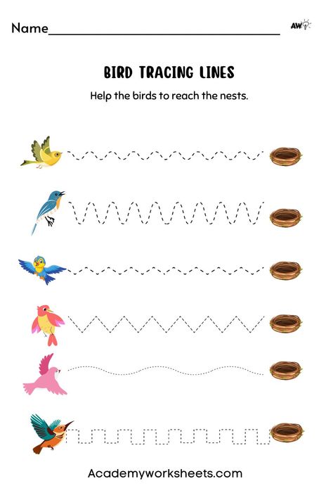 Great line tracing worksheets for your young student. Pre-k or Kindergarten. Bring the birds to their nest. We also have puppies on the website Academy Worksheets. Birds Lesson Plans Preschool, Birds Activities, Bird Worksheets Preschool, Bird Worksheet, Birds Worksheets Kindergarten, Birds Activities For Kids, Birds Kindergarten Activities, Cursive Small Letters, Preschool Prewriting