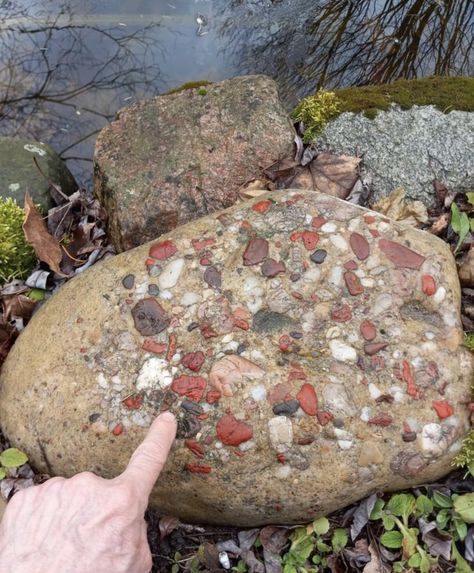 Pudding stone?  Photo:  Richard Kenny. Pudding Stone, Rocks And Gems