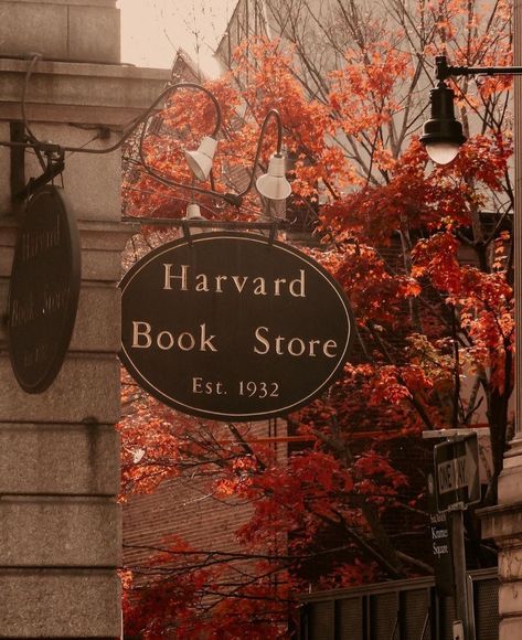 Harvard Uni, Harvard Yard, College Vision Board, Harvard Students, Author Event, Harvard Law, Dream College, Harvard Business School, Academic Motivation