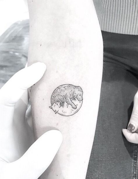 Cat Dog Yin Yang Tattoo, Dog Yin Yang Tattoo, Cat Yin Yang Tattoo, Dog And Cat Tattoos, Yin Yang Cat Tattoo, Yin And Yang Tattoo Ideas, Two Dogs Tattoo, Dog And Cat Tattoo Together, Two Cat Tattoo