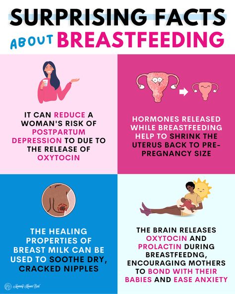 Surprising Facts about Breastfeeding 👀 Which one surprised you the most? Tell us in the comments ⬇️ #breastfeeding #nutrition #dairyfree #mums #healthyliving #lactationcookies #breastfeedingmums #cleaneating #healthshop #babyhealth #vegan #healthyfood #health #lactation #fitfood #vitamins #fithealthnutrition #bump #yeast #lactationsupplement #brewersyeast #normalizebreastfeeding #breastmilk #momlife #motherhood #nursingmom #healthypregnancy #milksupply Breastmilk Facts, Breastfeeding Nutrition, Pregnancy Facts, Doula Services, Baby Information, Baby Life Hacks, Baby Facts, Mother Art, Baby Prep