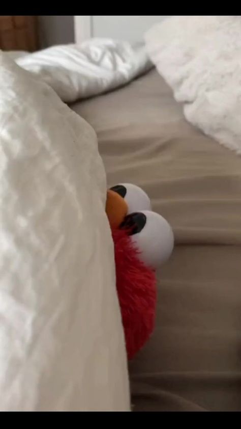 Don't worry we feel you elmo🤣😂🤣 #reelsvideo #elmo #funnyreels #funnyvideos #funnyvideo #funny #funnymemes #viral #virals #viralvideo #viralreels | I'm elmo | Elmo Pictures, Elmo Videos, Elmo Memes, Elmo Wallpaper, Elmo And Friends, Elmo World, Elmo And Cookie Monster, Funny Pix, Funny Phone Wallpaper