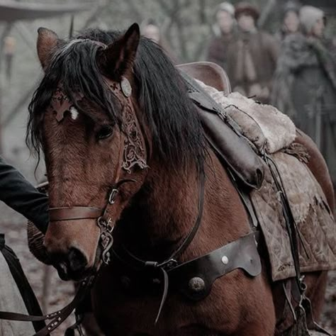 Horses Medieval Aesthetic, Horse Fantasy Aesthetic, Fantasy Adventure Aesthetic, Midevil Aesthetics, Ranger Aesthetic, Scotland Aesthetic, Medieval Horse, Horse Riding Aesthetic, Rangers Apprentice