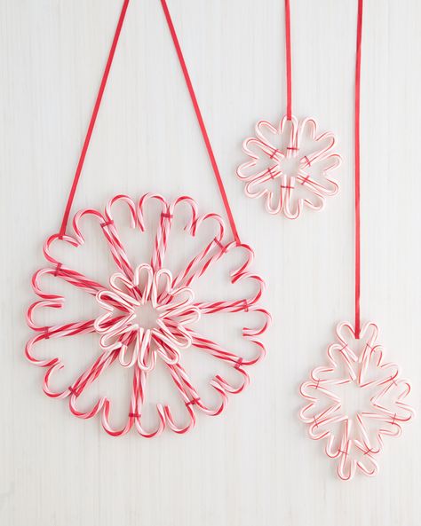 Candy Cane Crafts, Candy Cane Decorations, Easy Christmas Wreaths, Candy Cane Wreath, Seasons Winter, Dollar Store Christmas, Candy Crafts, Peppermint Candy, Christmas Candy Cane