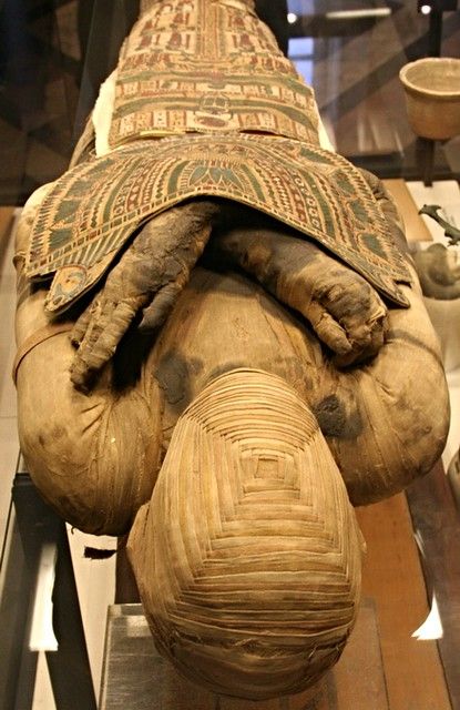 Egyptian Archeology, Egyptian Mummy, Starověký Egypt, Egyptian Mummies, Egyptian Artifacts, Egyptian Pyramids, Egypt History, Egyptian Culture, Ancient Egyptians