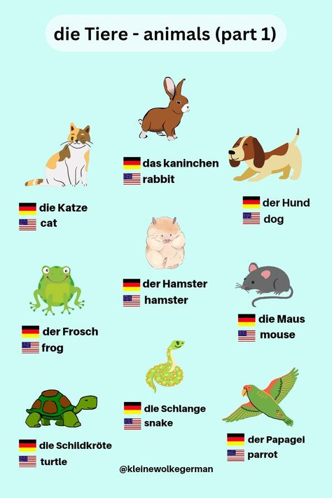 German Vocabulary List, German Animals, German Phrases Learning, German Vocabulary, Grammar Notes, Study German, German Study, German Phrases, German Grammar