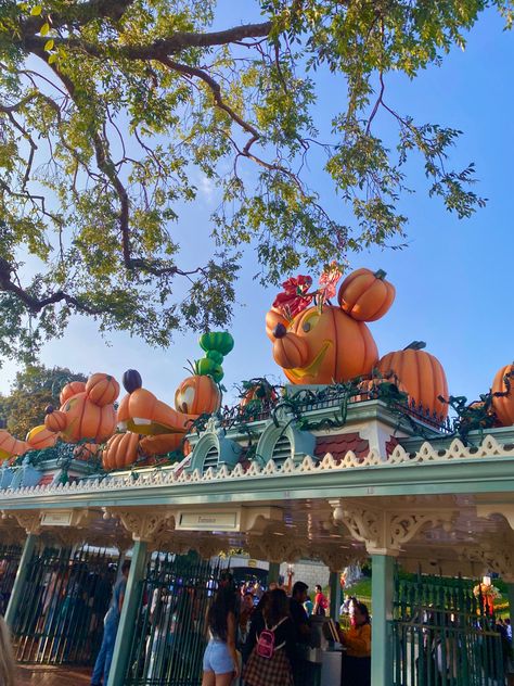 Disney World Halloween Aesthetic, Disney In Fall, Lisi Shops, Disney Pumpkins, Halloween Time At Disneyland, Fall Disney, Disney World Aesthetic, Disneyland Aesthetic, I Love Disney