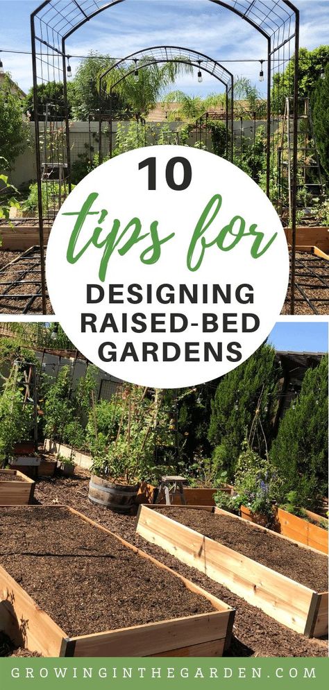 Backyard Vegetable Garden, Moderne Have, Garden Bed Layout, Raised Bed Garden Design, Raised Bed Garden, Raised Vegetable Gardens, Vegetable Garden Raised Beds, Backyard Vegetable Gardens, Raised Garden Beds Diy