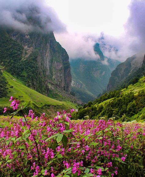 Coorg Karnataka, Alleppey Kerala, Jasmine Garden, Kodaikanal, Valley Of Flowers, Beautiful View, Once In A Lifetime, Unesco World Heritage Site, Unesco World Heritage