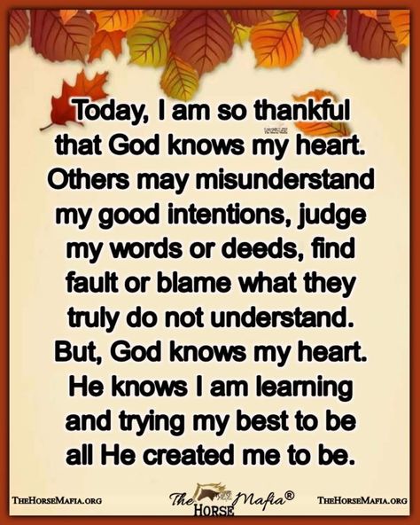 Work Blessings Quotes, Blessings Quotes, Miracle Prayer, Good Morning Prayer, Uplifting Words, Morning Wishes Quotes, Blessed Quotes, Jesus Christ Images, Morning Blessings