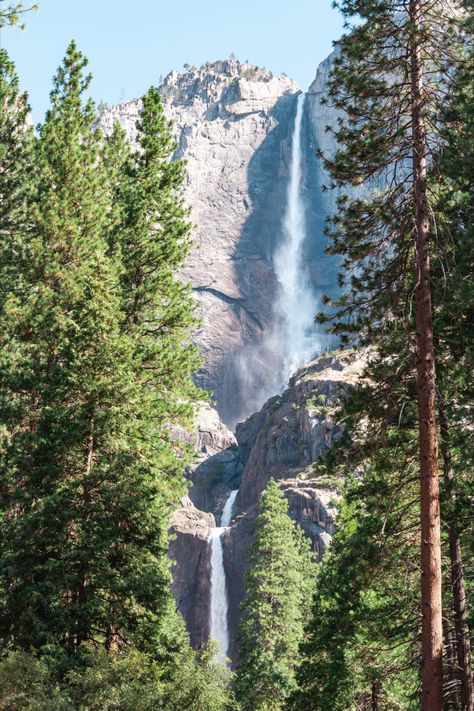 Gorgeous Yosemite Falls from the valley in Yosemite National Park - click for full photo and print! Yosemite Picture Ideas, Tuolumne Meadows, Yosemite Trip, Swinging Bridge, Merced River, Yosemite Falls, Nature Science, Sunny California, Valley View