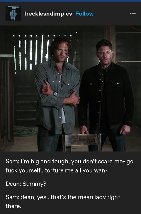 Dean X Sam, Destiel Fanart Wings, Supernatural Sam And Dean, Destiel Art Cute, Supernatural Season 4, Jared Jensen, Sam And Dean Supernatural, Supernatural Out Of Context, Spn Memes Funny