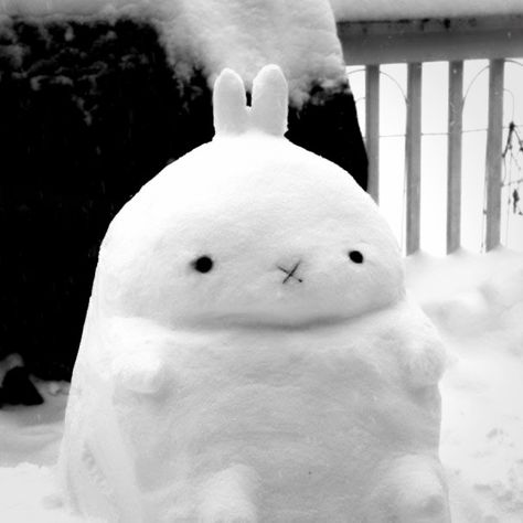 Christmas Bunny Art, Kawaii Christmas Pfp, Aesthetic Christmas Pics, Bunny Icon Aesthetic, White Snow Aesthetic, Bunny In Snow, Bunnies Aesthetic, Snow Pfp, Bunny In The Snow