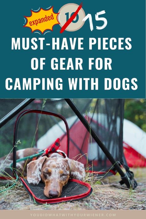 Over the last 20 years of camping with dogs, I have fine-tuned the list of what I bring. These are the essentials. ~ camping with dogs ~ dog camping gear ~ dog gear for camping Travel Dog Accessories, Camping Dogs, Dog Camping Gear, What To Bring Camping, Camping With Dogs, Camping Colorado, Camping Products, Outdoorsy Style, Dog Foods