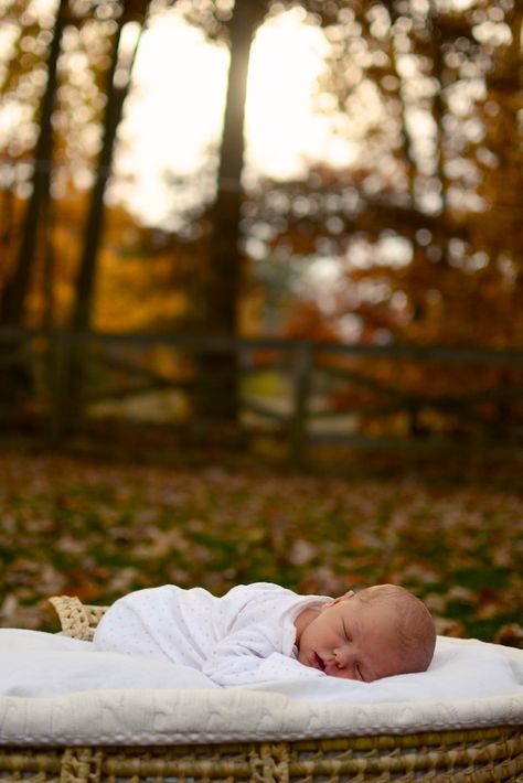 Fall Newborn Aesthetic, Simple Newborn Photos Outdoors, Newborn Photos Outside Fall, Fall Outdoor Newborn Pictures, Newborn Fall Photoshoot At Home, Newborn Autumn Photography, Newborn Family Photos Outdoor Fall, Newborn Outdoor Photoshoot Fall, Fall Newborn Family Photos