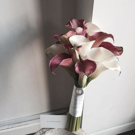 Calla Lily Bridal Bouquet, Lily Bridal Bouquet, Simple Wedding Bouquets, Calla Lily Bridal, Small Flower Arrangements, Calla Lily Wedding, Flower Arrangements Wedding, Calla Lily Bouquet, Bridal Bouquet Fall