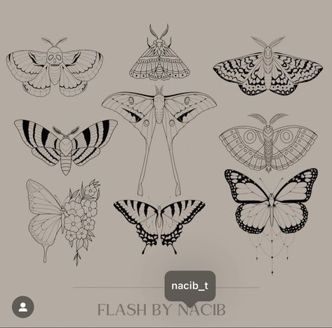 Giant Moth Tattoo, Patchwork Moth Tattoo, Moth Tattoos Simple, Flying Moth Tattoo, Lunar Moth Tattoo Design Simple, Fine Line Moth Tattoo, Moth Outline Tattoo, Moth Tattoo Outline, Deathhead Moth Tattoo