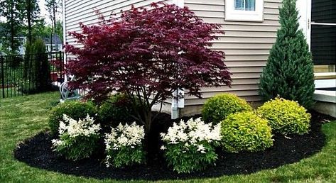 In Front Of House Flower Bed, House Landscaping Plan, Grey House Landscaping, Landscape Bay Window Front Yard, Landscape Foundation Planting, Landscape Ideas Front Yard Small House, Beautiful Landscaping Front Yard, Layered Landscaping Ideas, Fall Landscape Ideas Front Yards